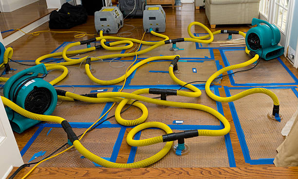 Professional Crawl Space Water Removal technician working in Miami, WV